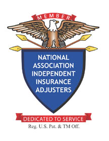 NAIIA_lOGO2.jpg